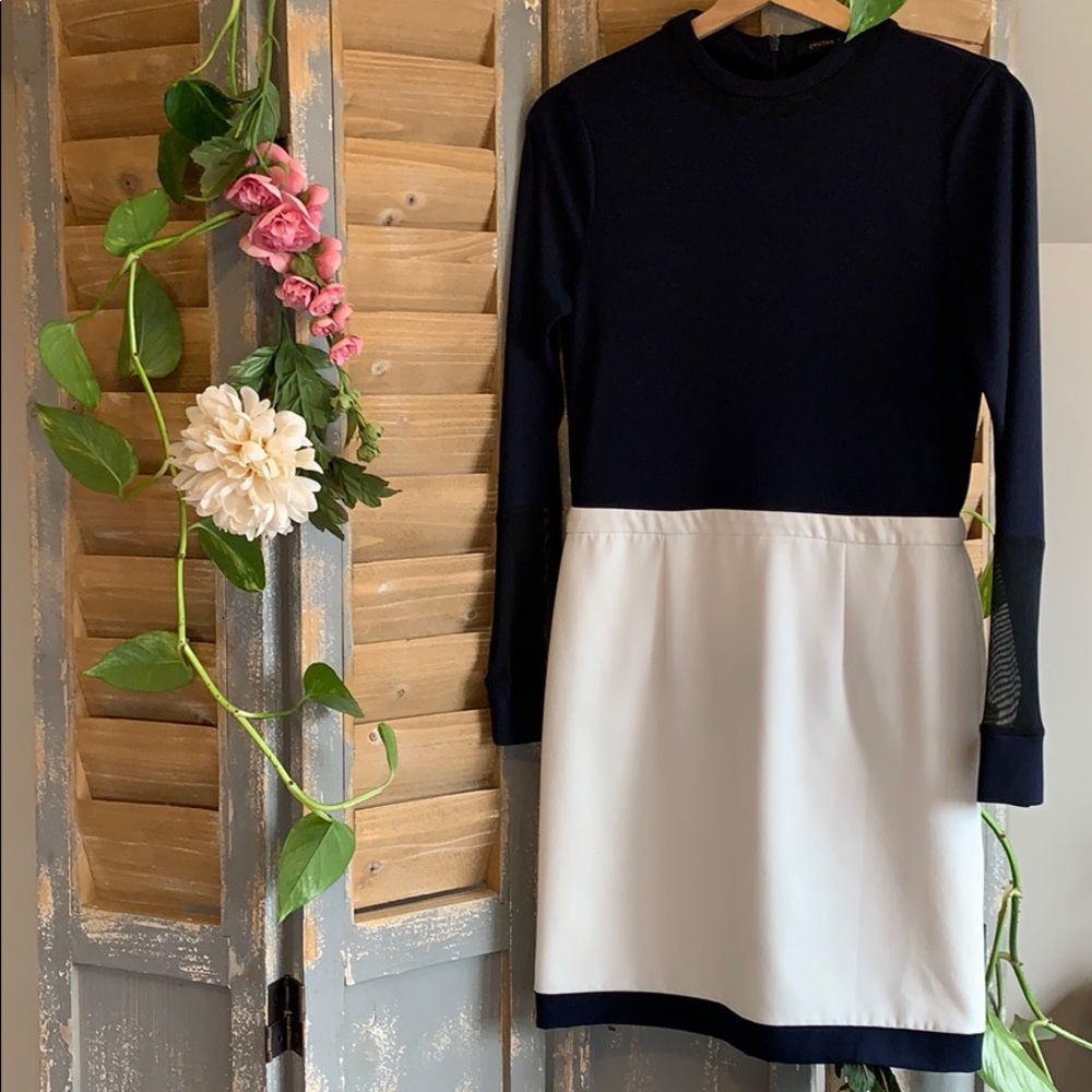 Cynthia Steffe Navy and Ivory Color block dress